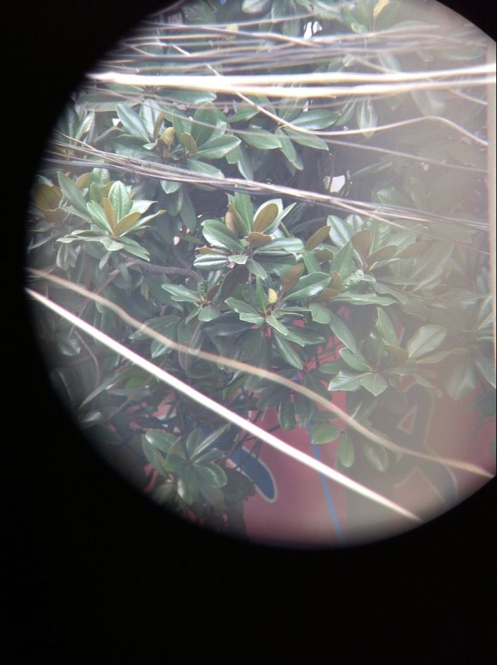 QQ图片20140816120731.jpg