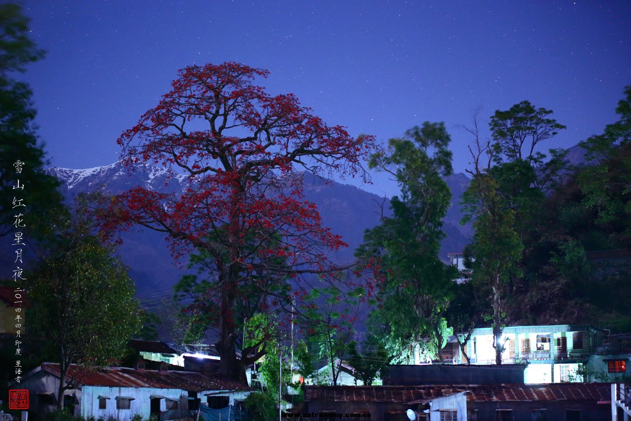 09-1雪山红花星月夜.jpg