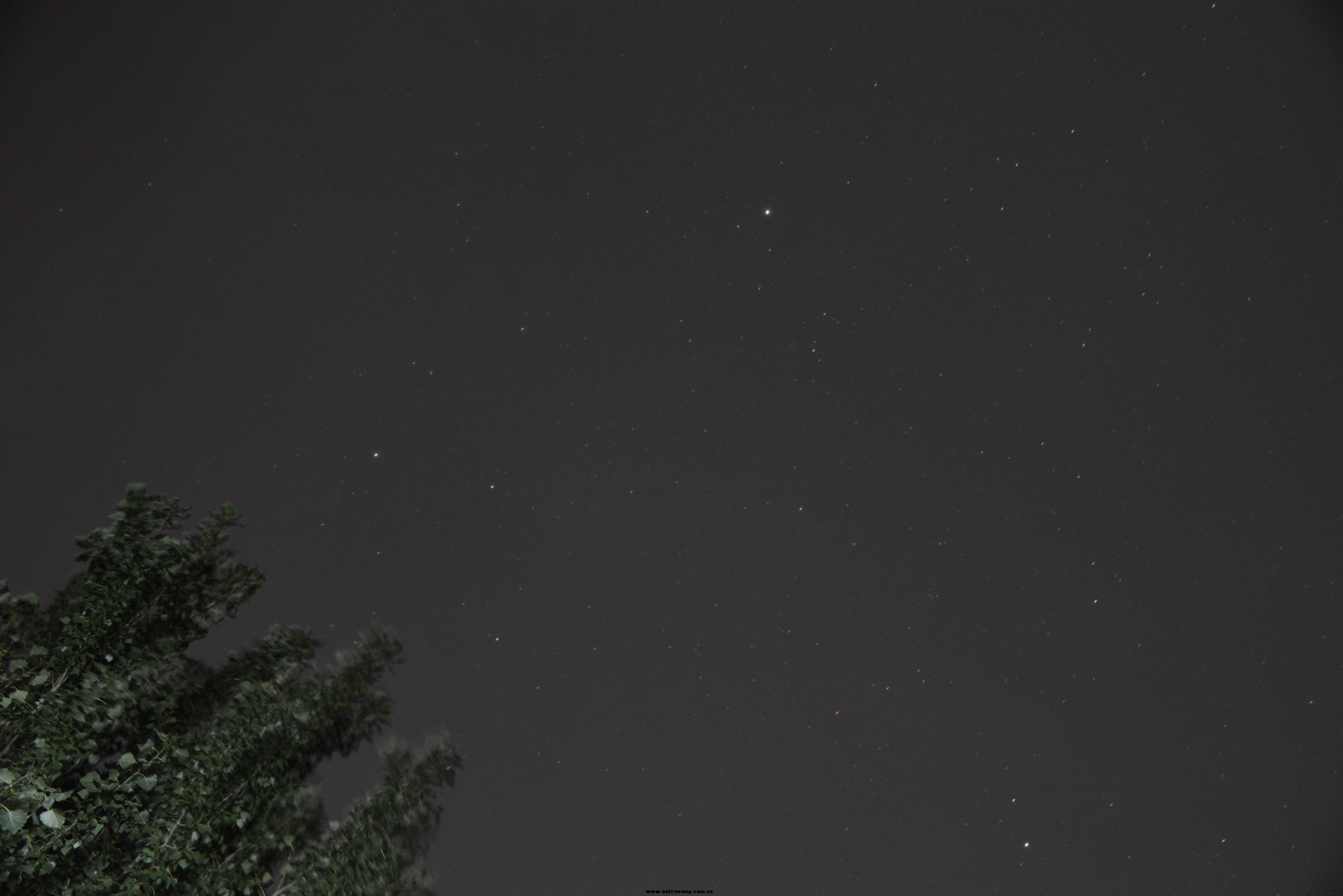 DSC_4082.JPG