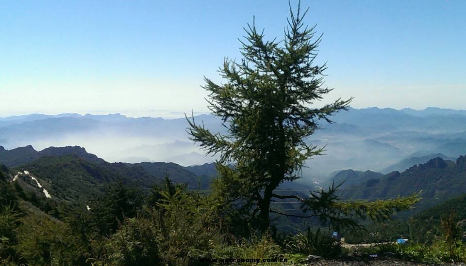 早上风景