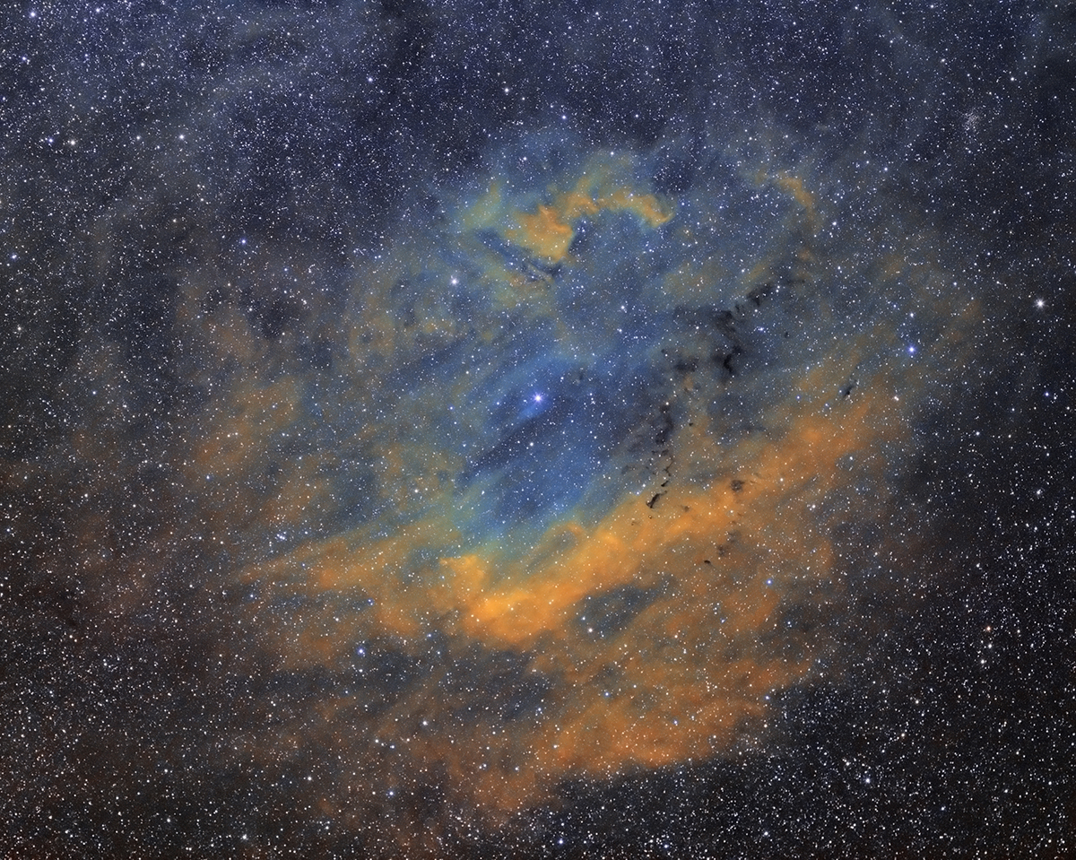 Cygnus Nebula01 SHO COPY.jpg