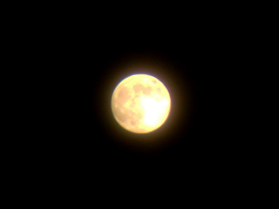 DSC01725.jpg