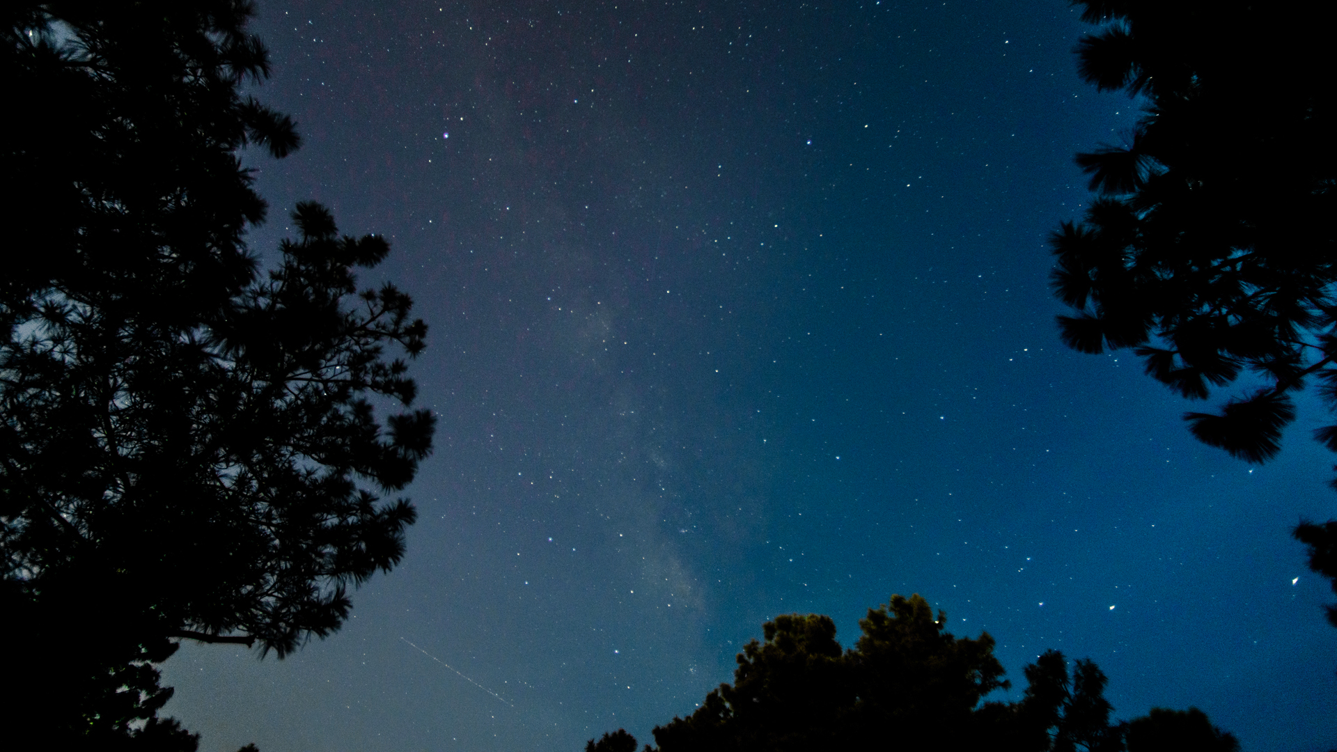 20140911b.jpg