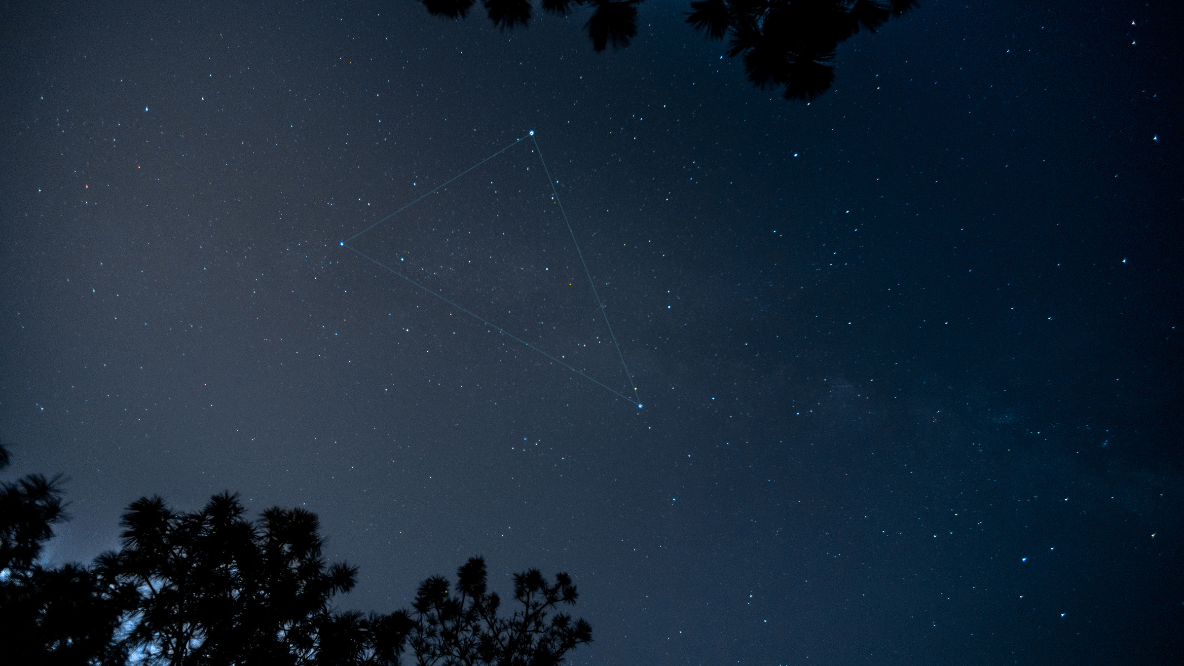 20140911d.jpg