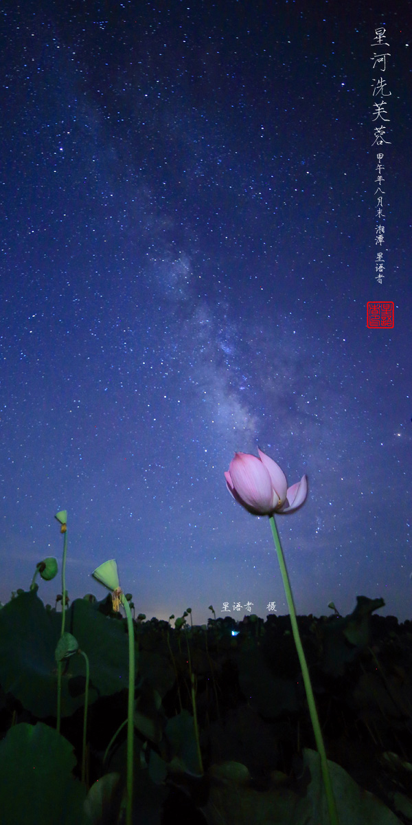 星河洗芙蓉01.jpg