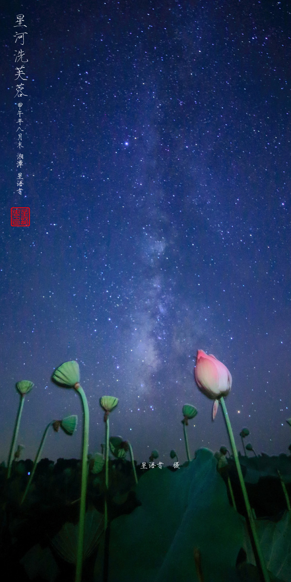 星河洗芙蓉02.jpg