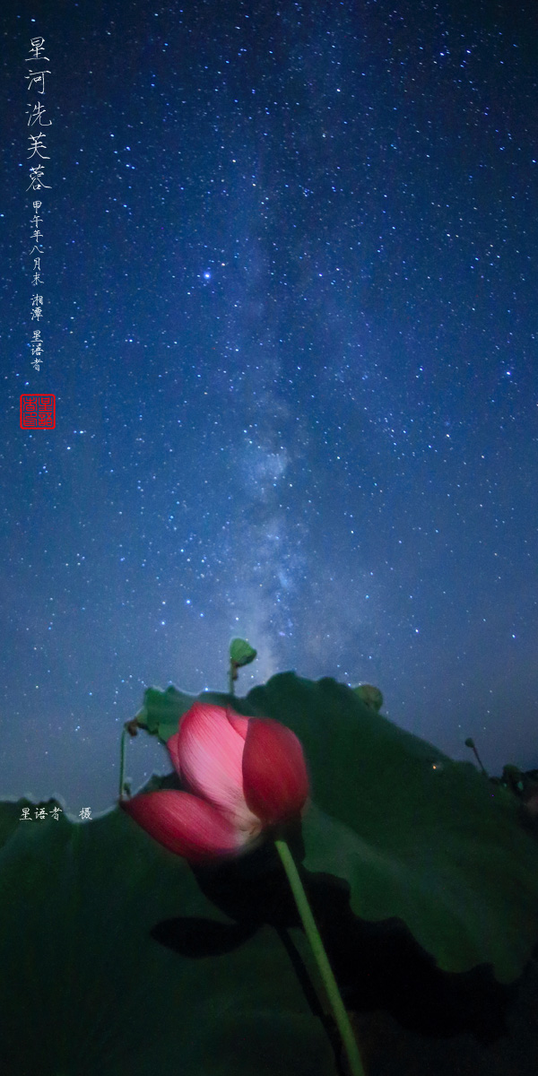 星河洗芙蓉03.jpg