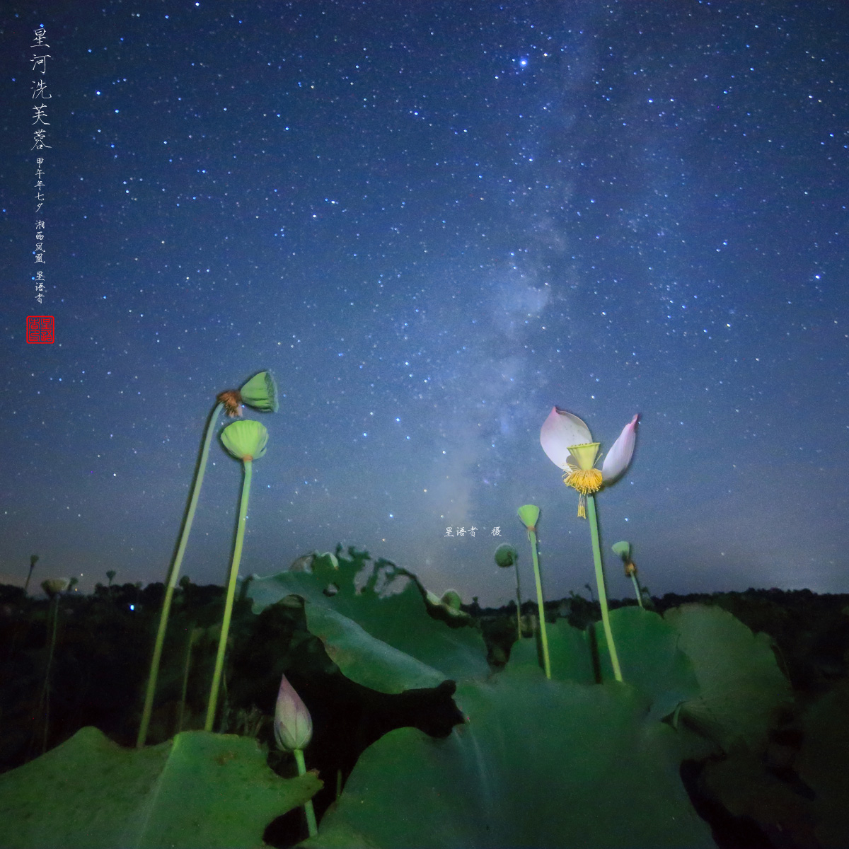 星河洗芙蓉04.jpg