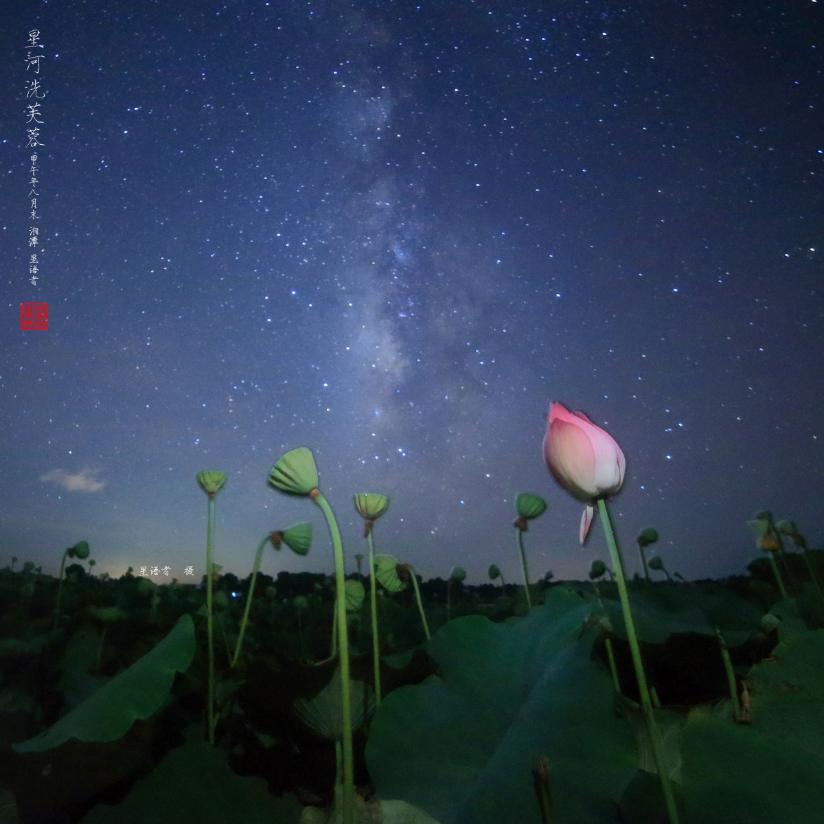 星河洗芙蓉05.jpg