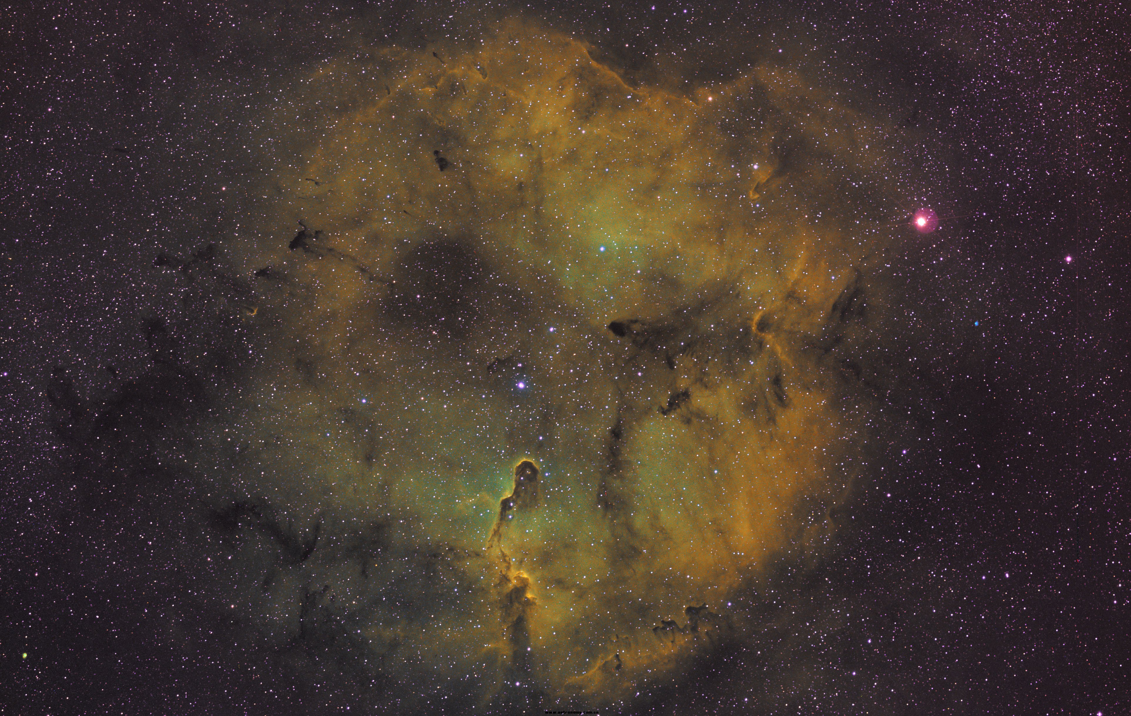 ic1396-1.jpg