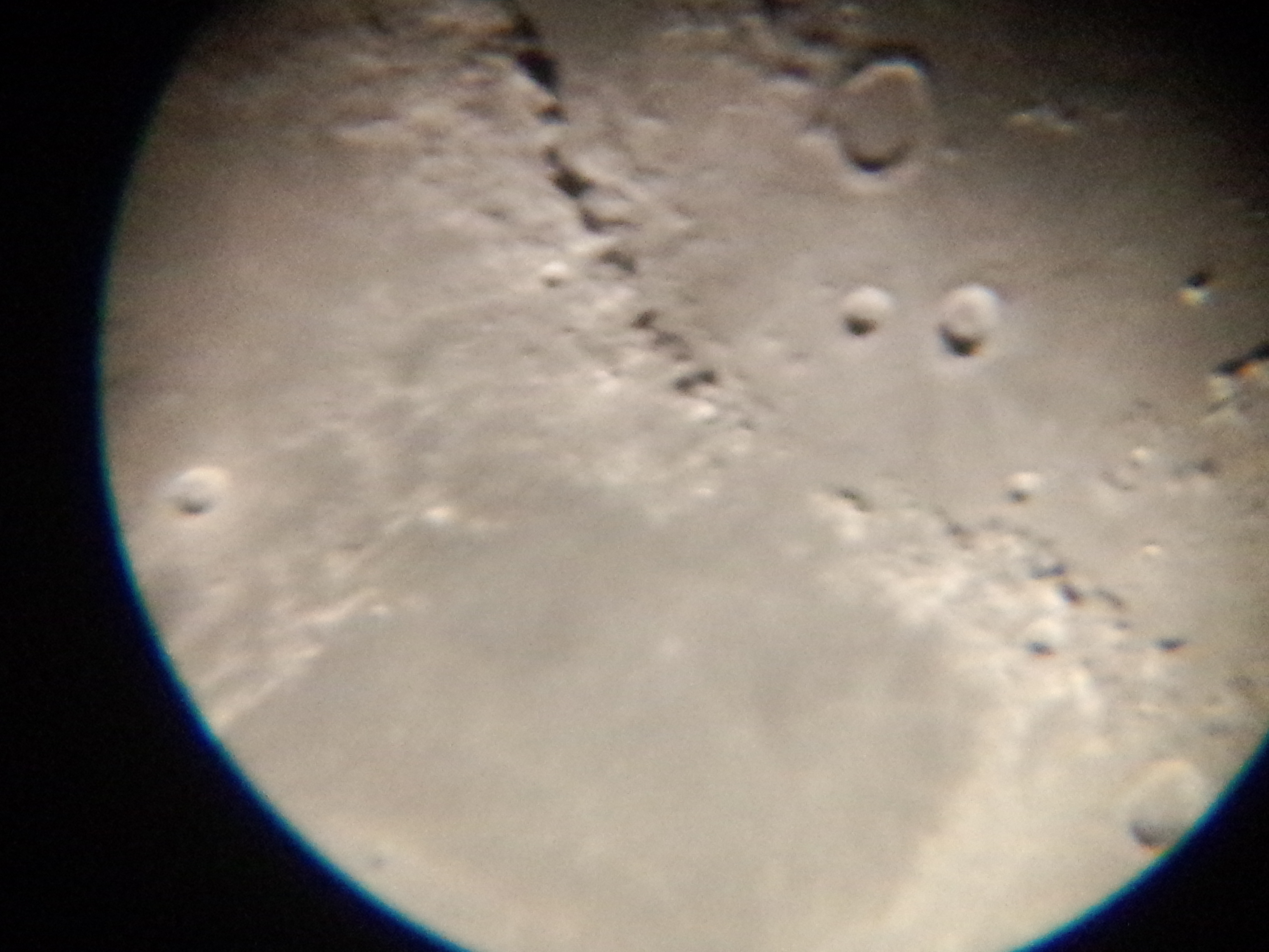 P41002-193939.jpg