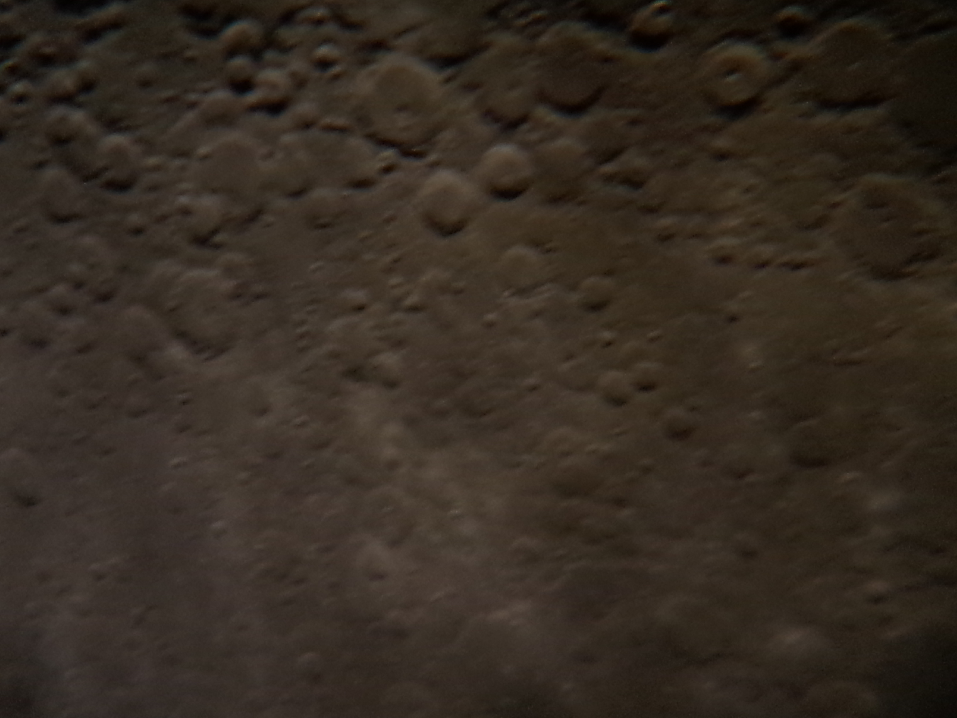 P41002-192504.jpg