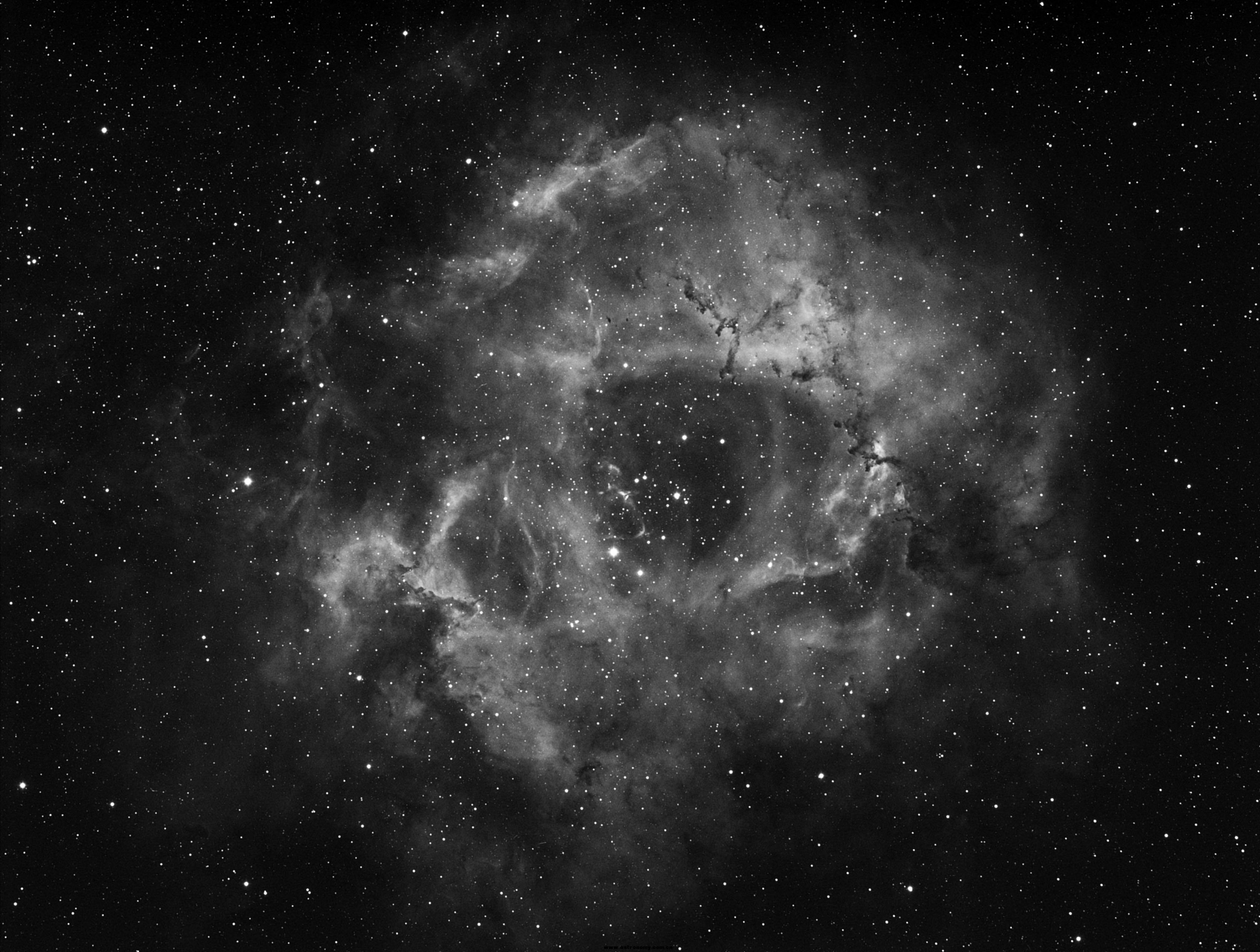 NGC2244.jpg