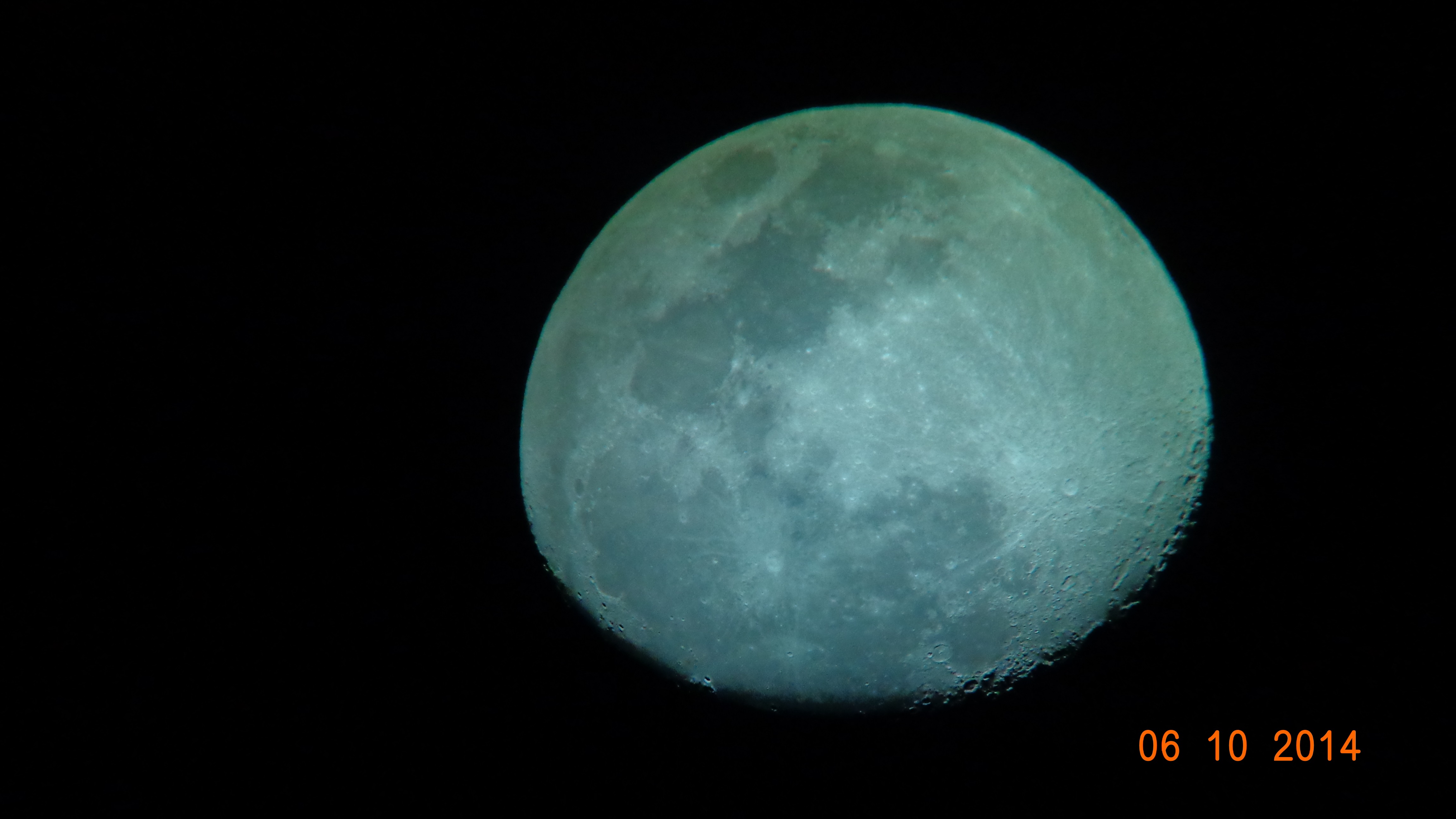 DSC03693微微威武.jpg