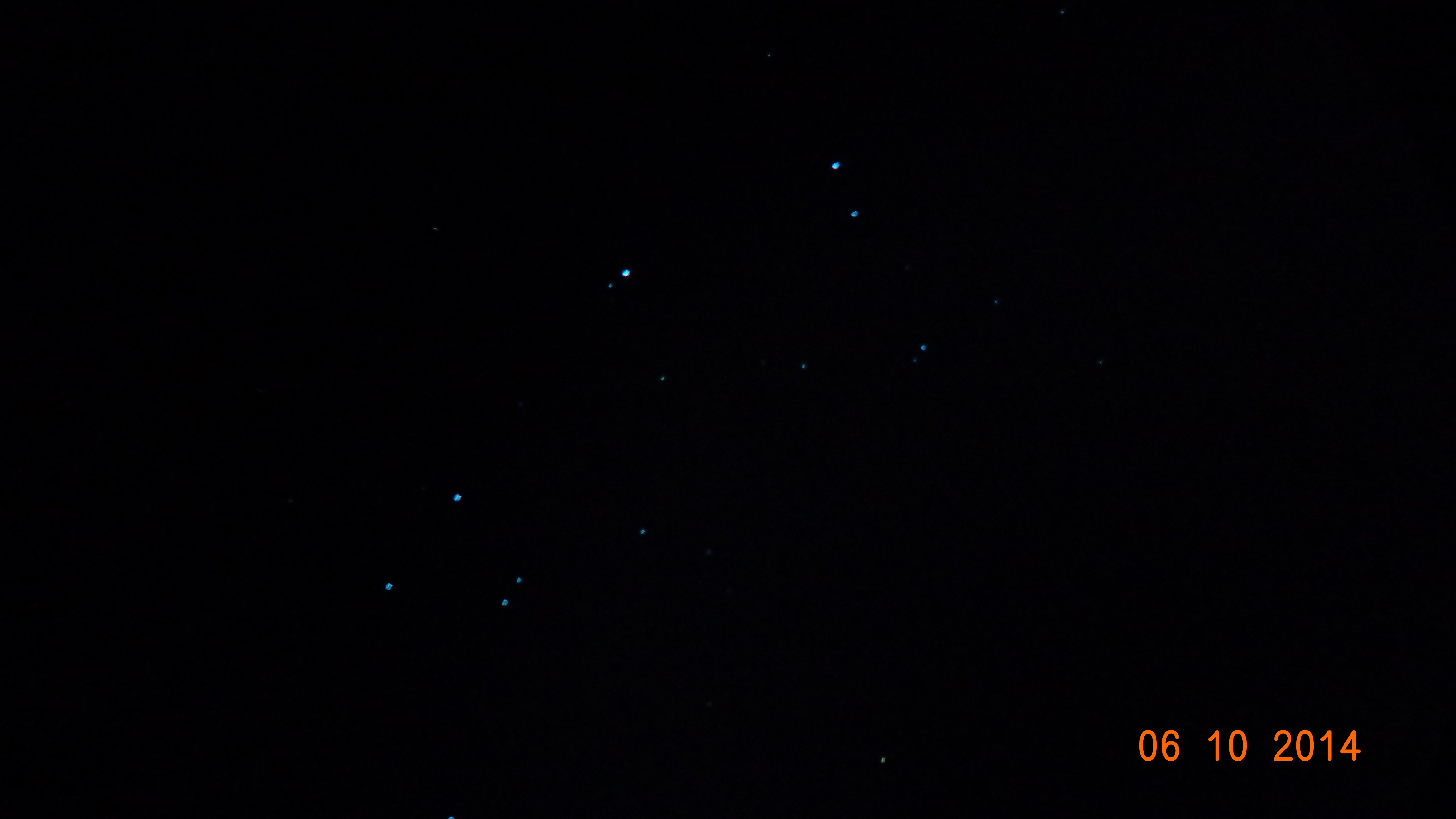 DSC03694事实上.jpg