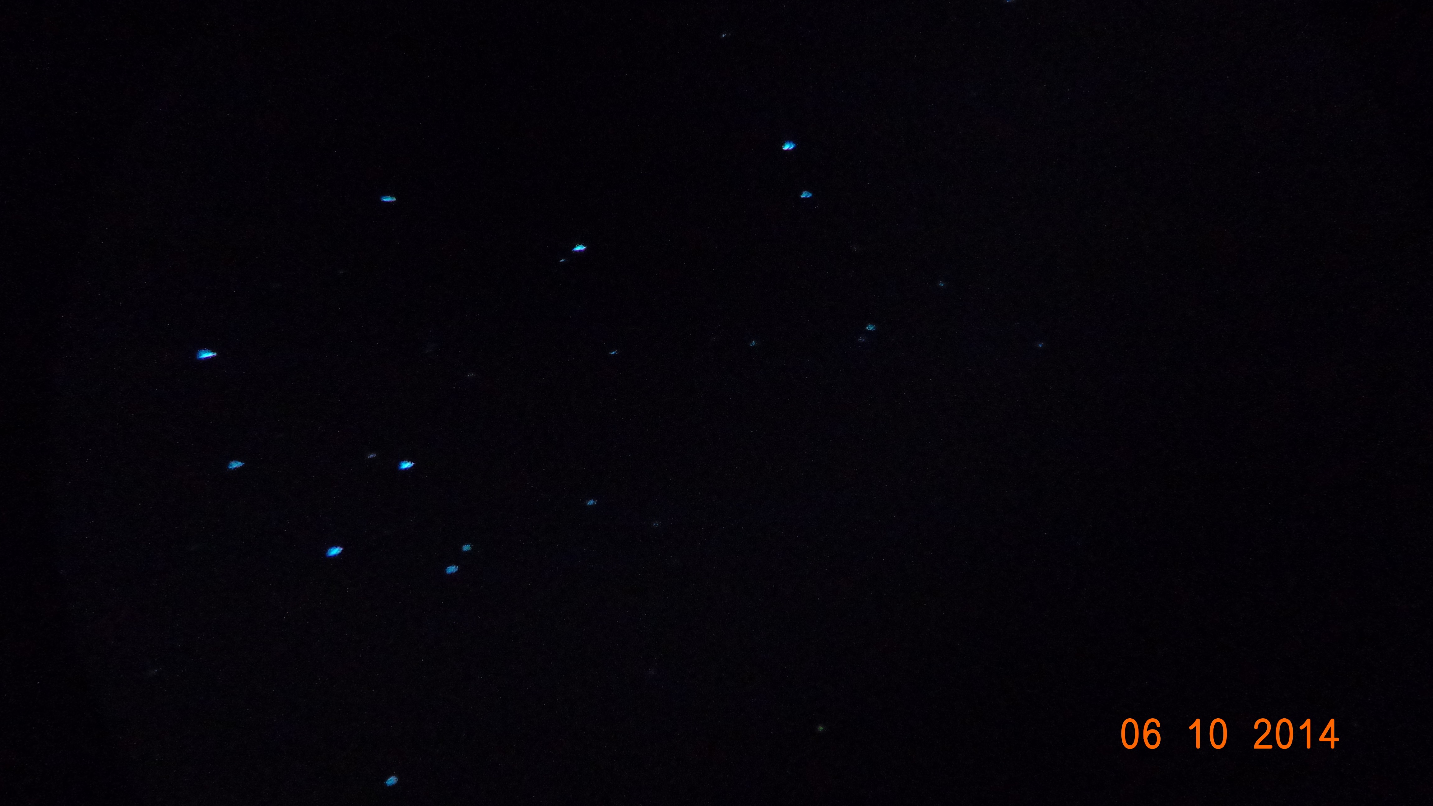 DSC03695事实上.jpg