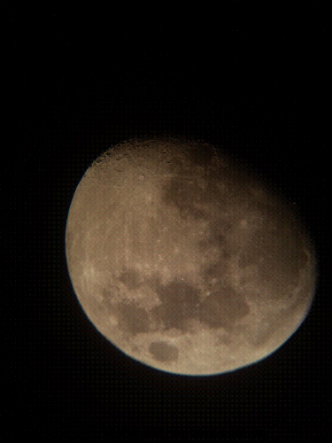P41005-182913.jpg
