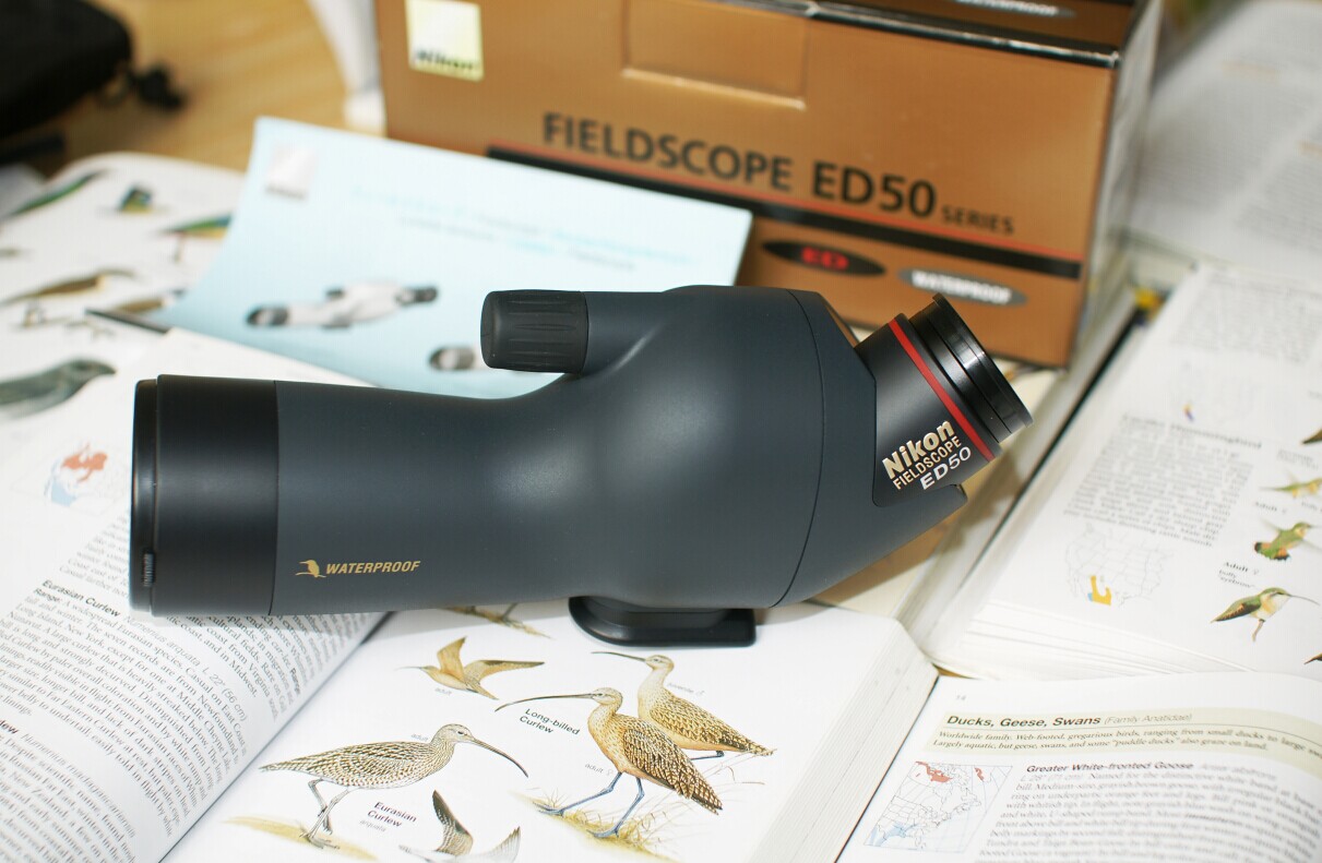 ED50-3.jpg