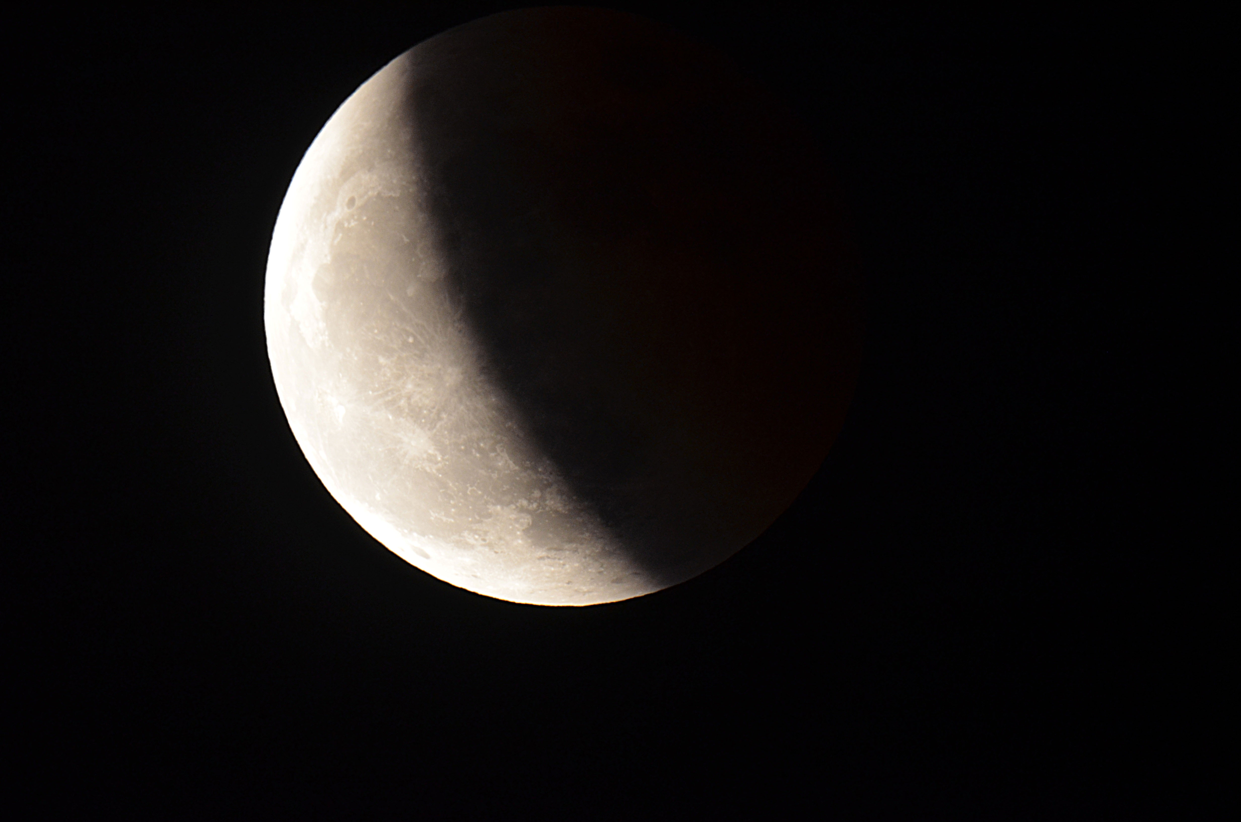 DSC_0081.jpg