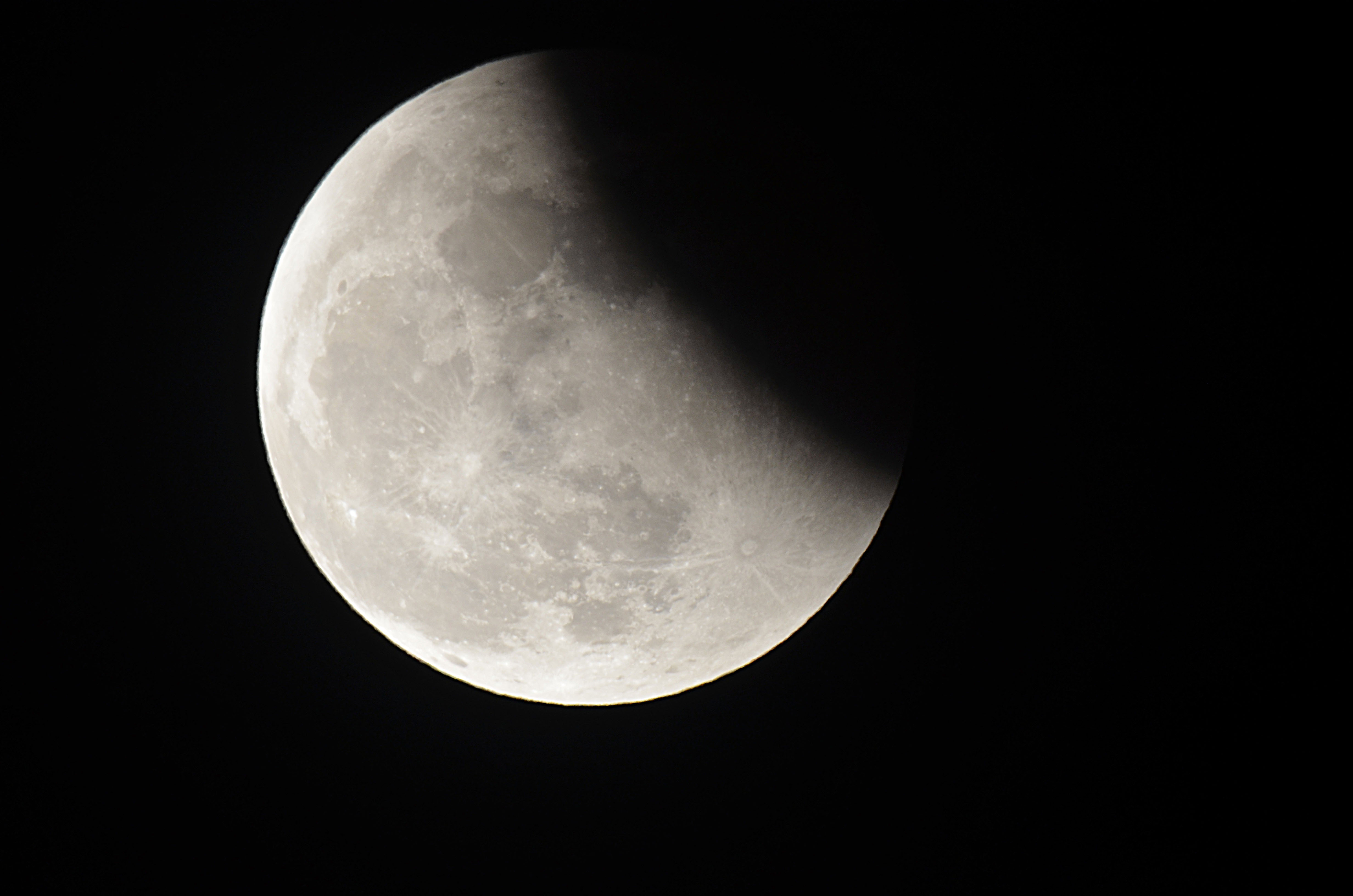 DSC_0133.jpg