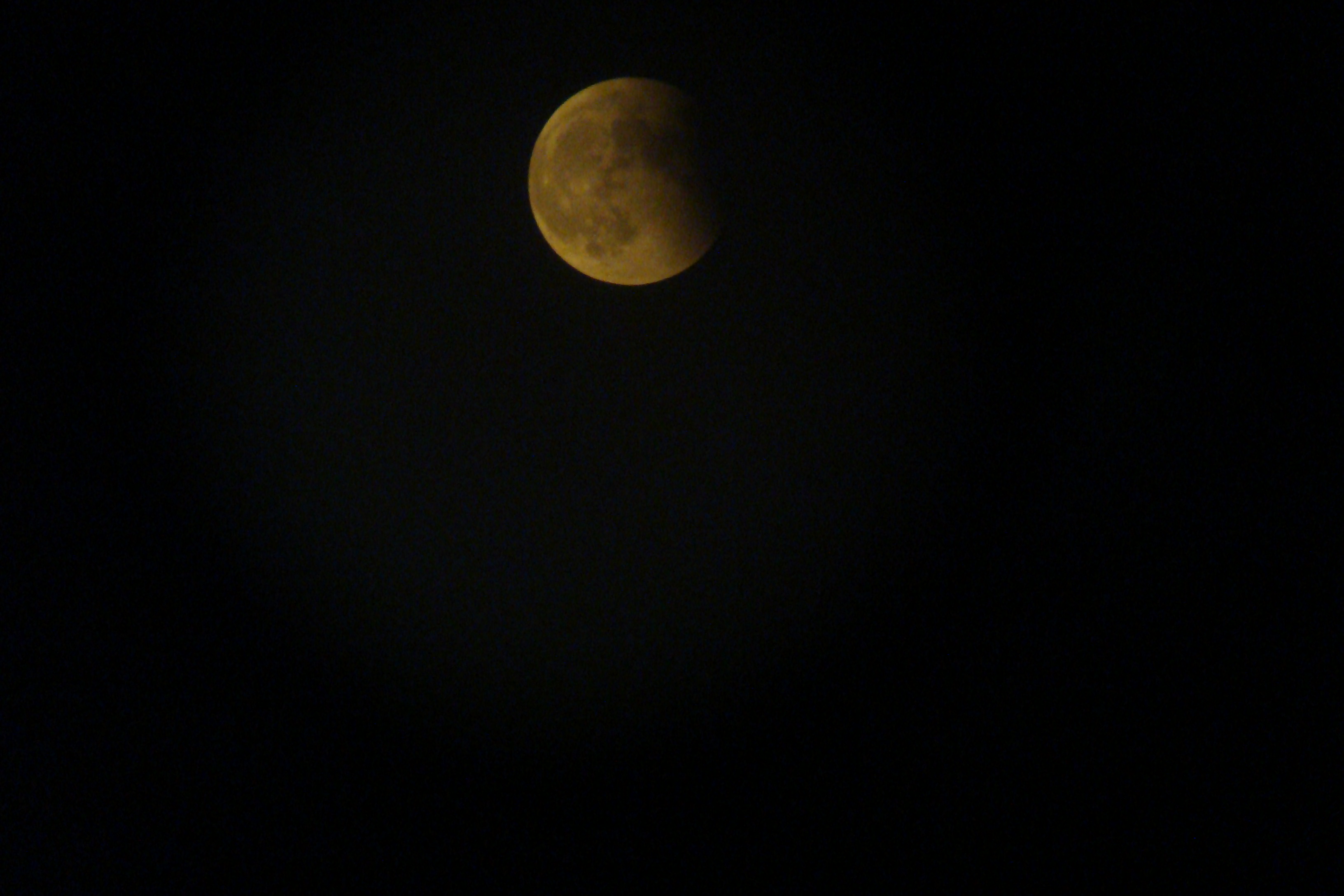 DSC00905.JPG