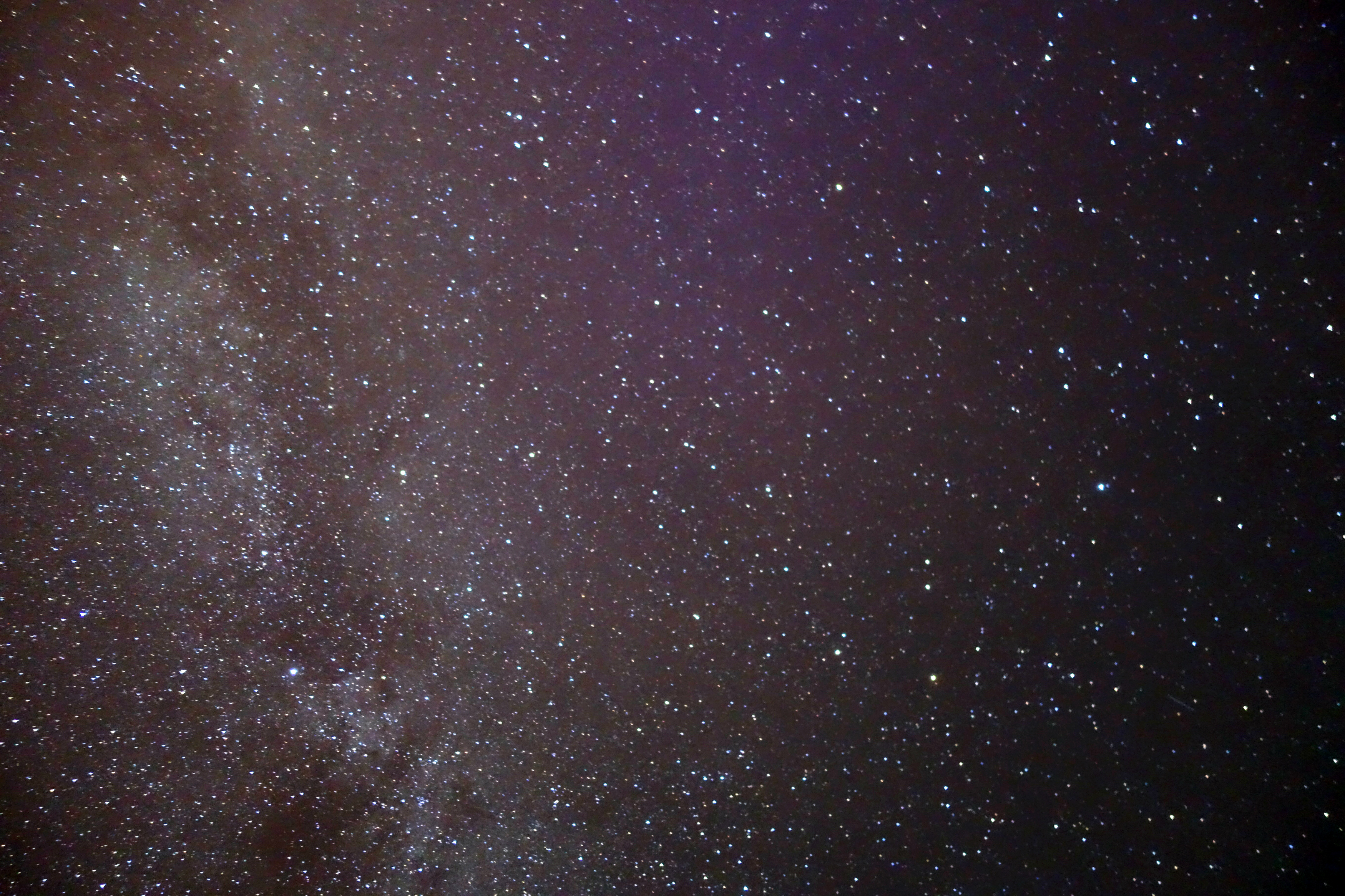DSC01630_meitu_2.jpg