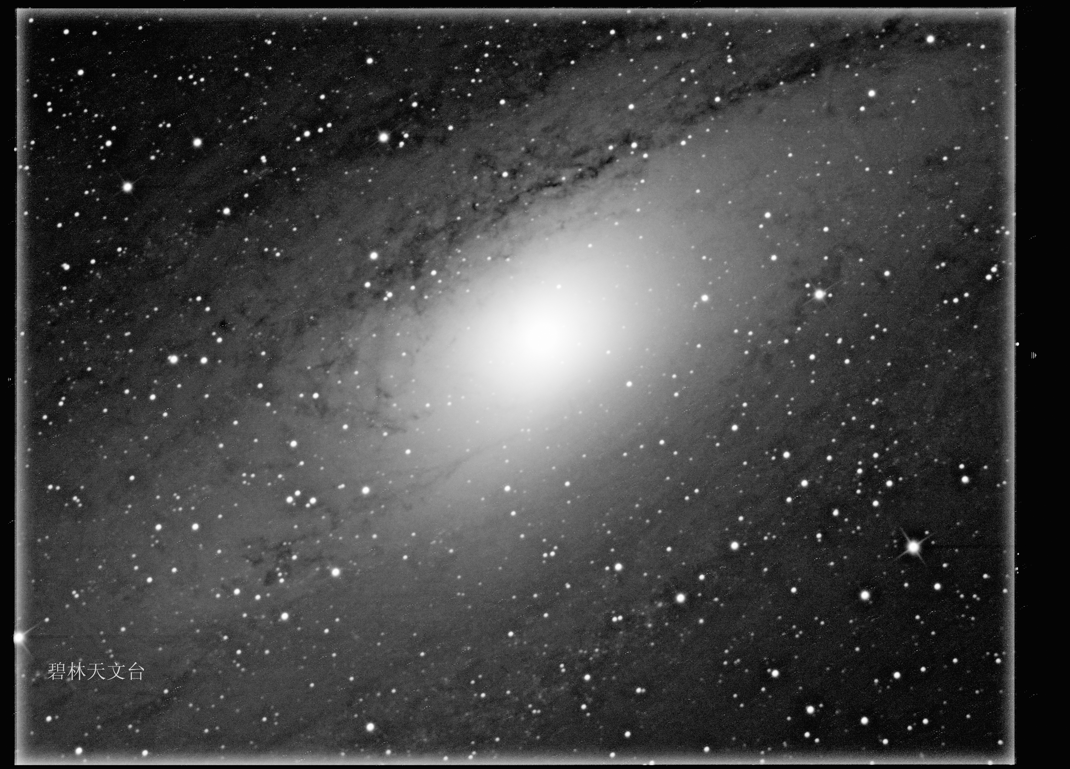 m31黑白.jpg