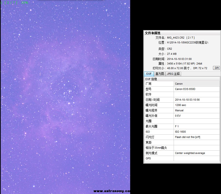 单张玫瑰.jpg