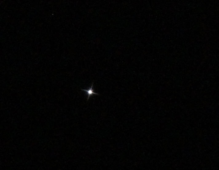 天津四星芒