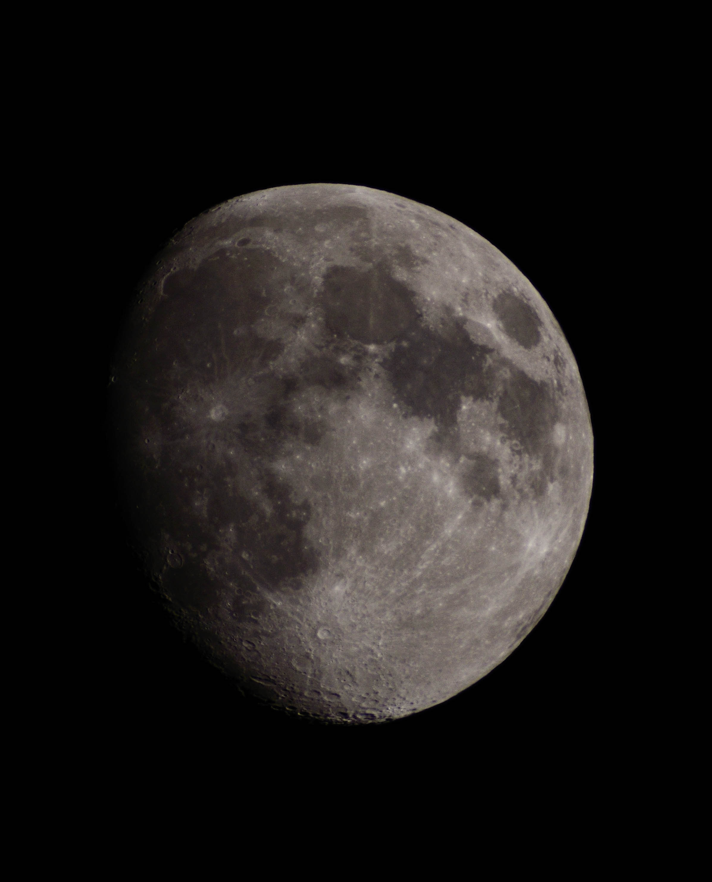 _DSC3837.jpg