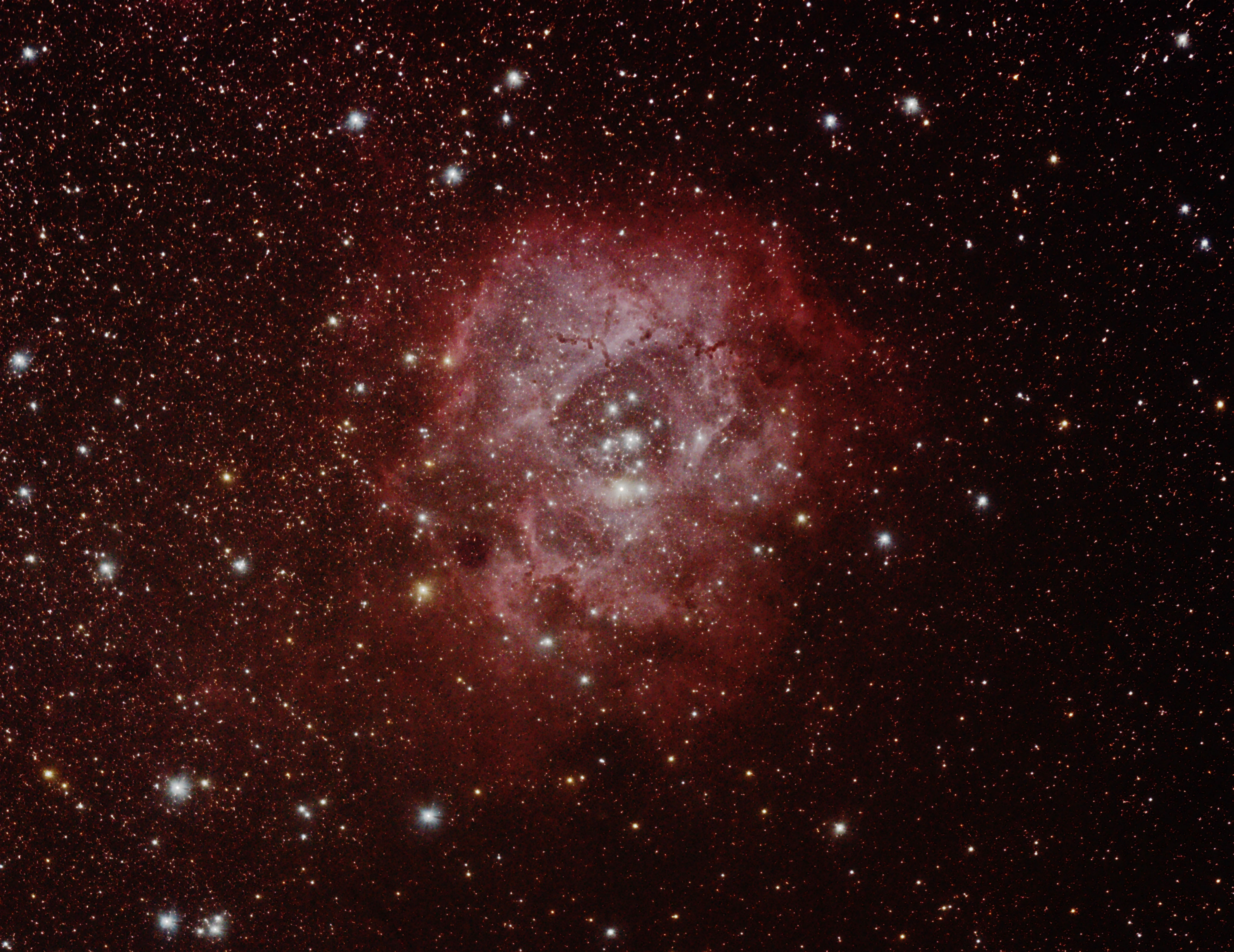 NGC2244_22.jpg