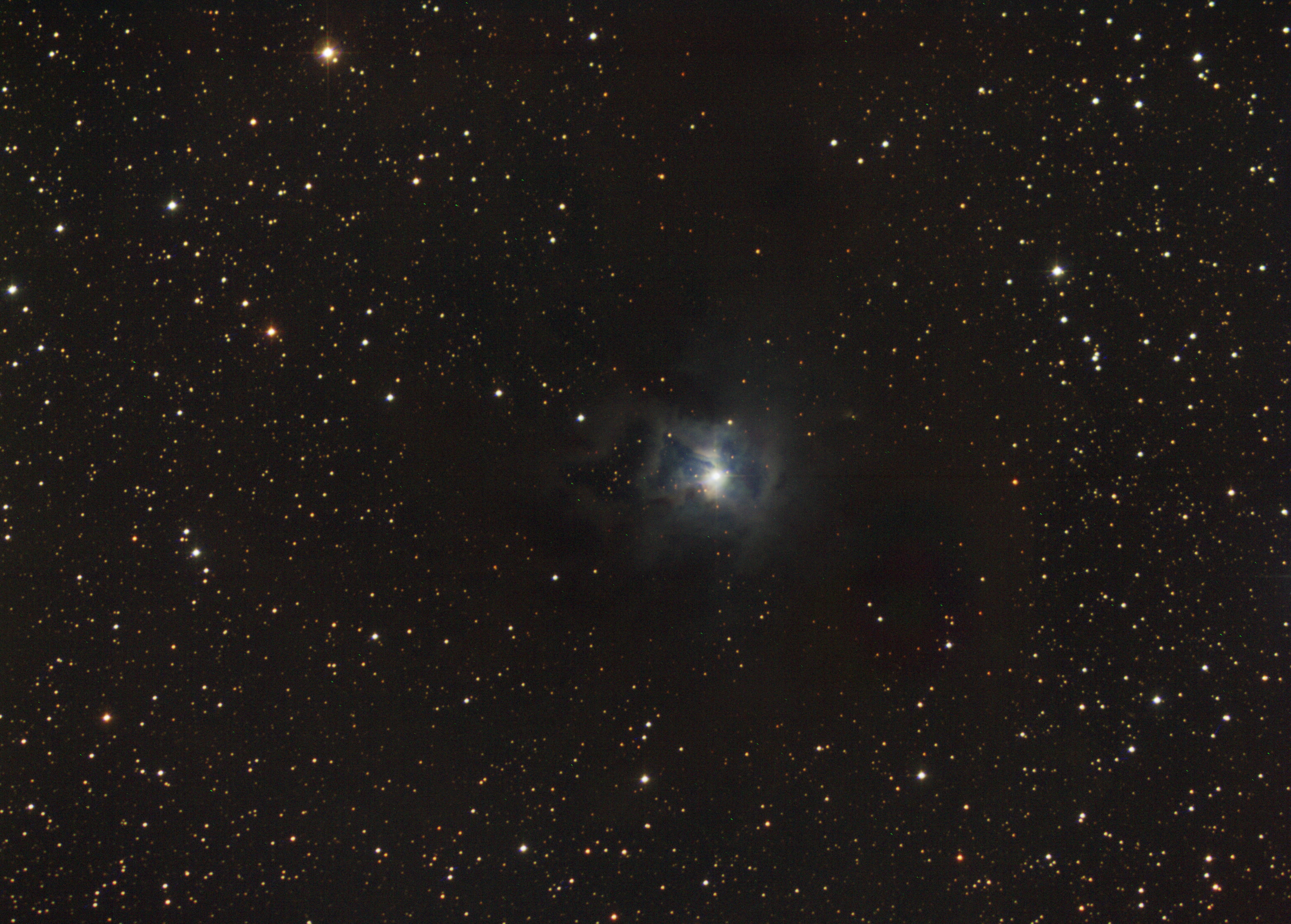 鸠尾花星云（NGC 7023）-jzy.jpg