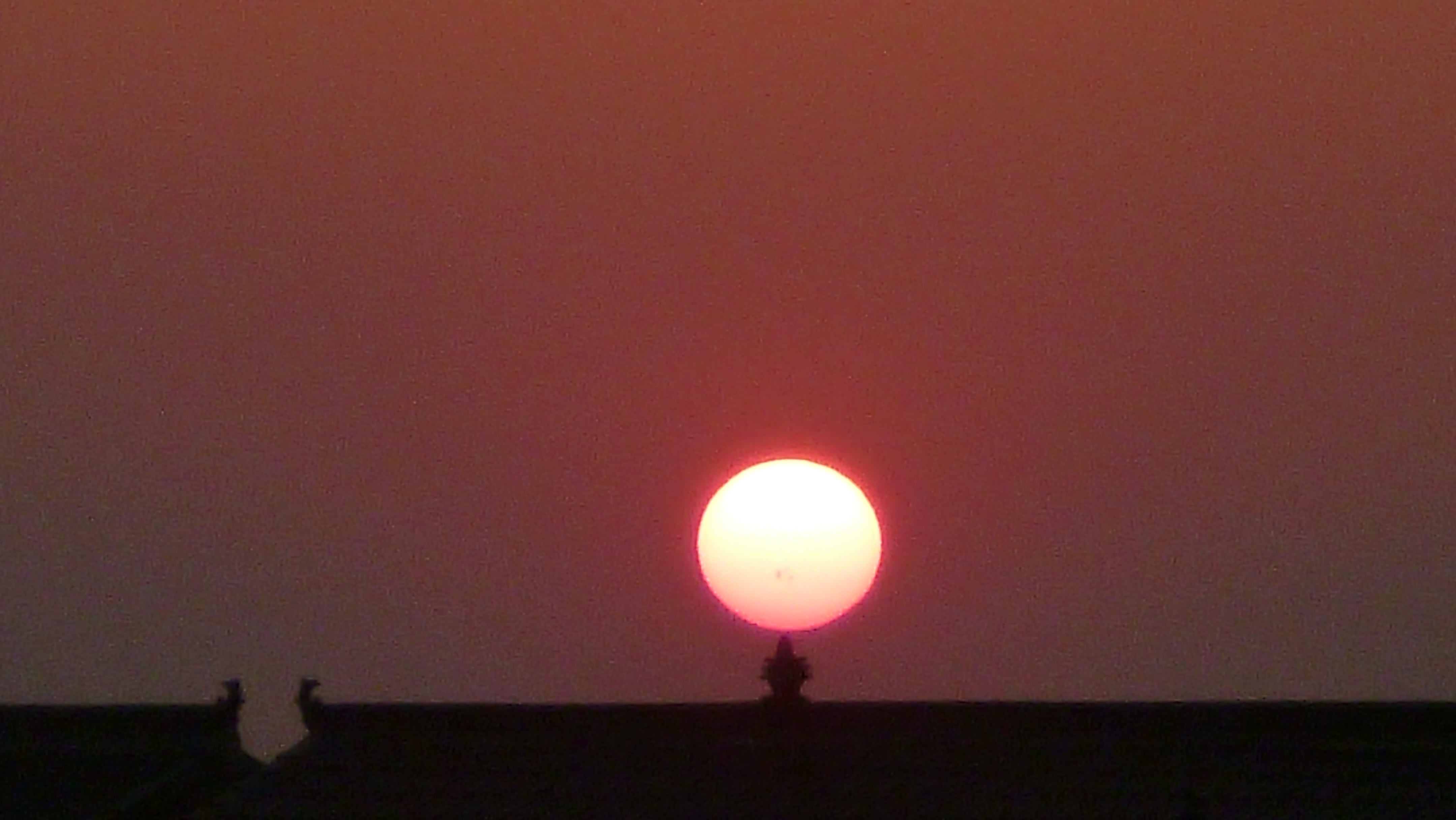 P1100581.JPG