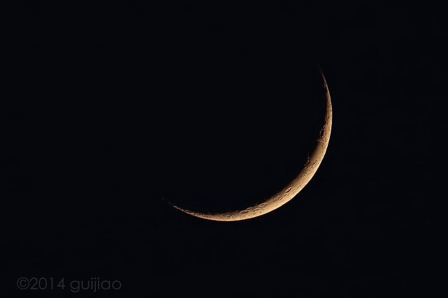 IMG_7704.jpg