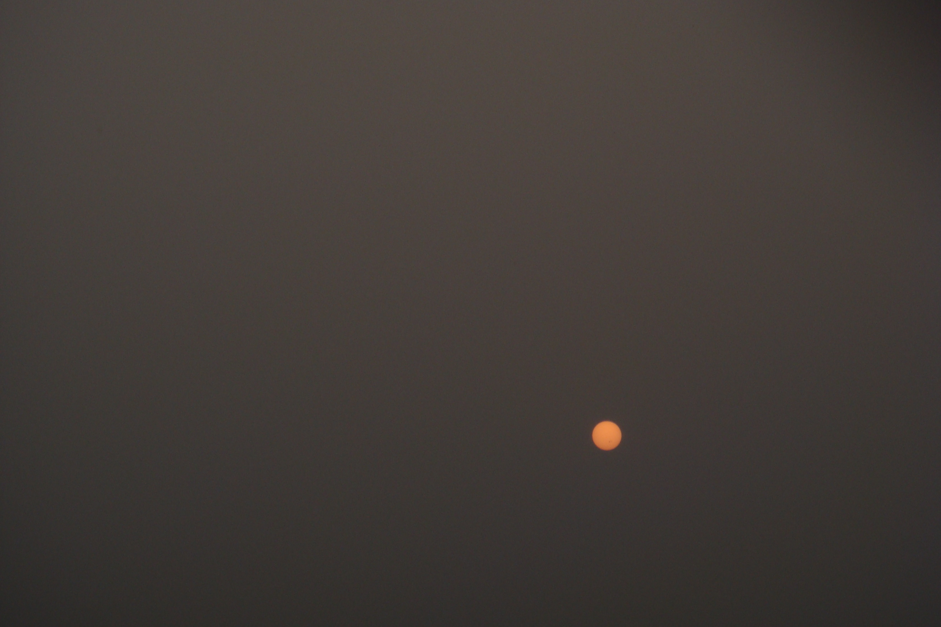 DSC01046.JPG