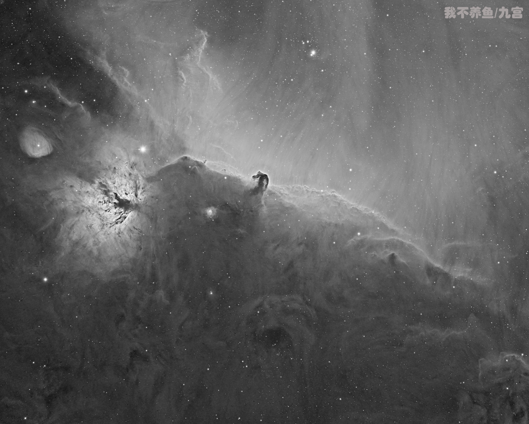IC434-HA.jpg