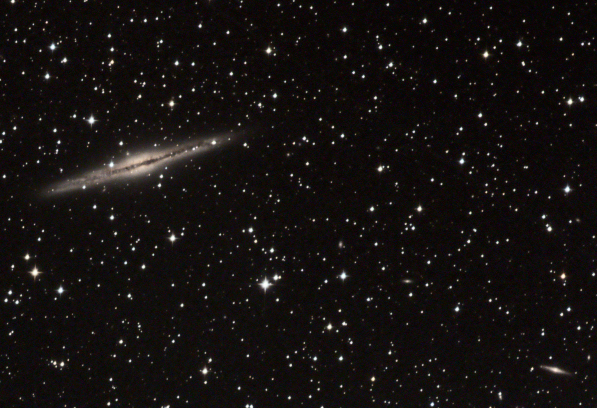 NGC891大.jpg