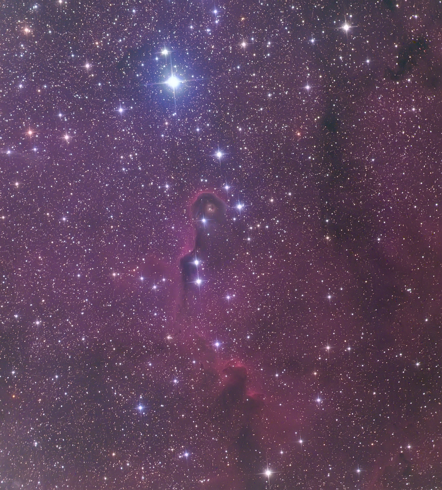 IC 1396A象鼻星云