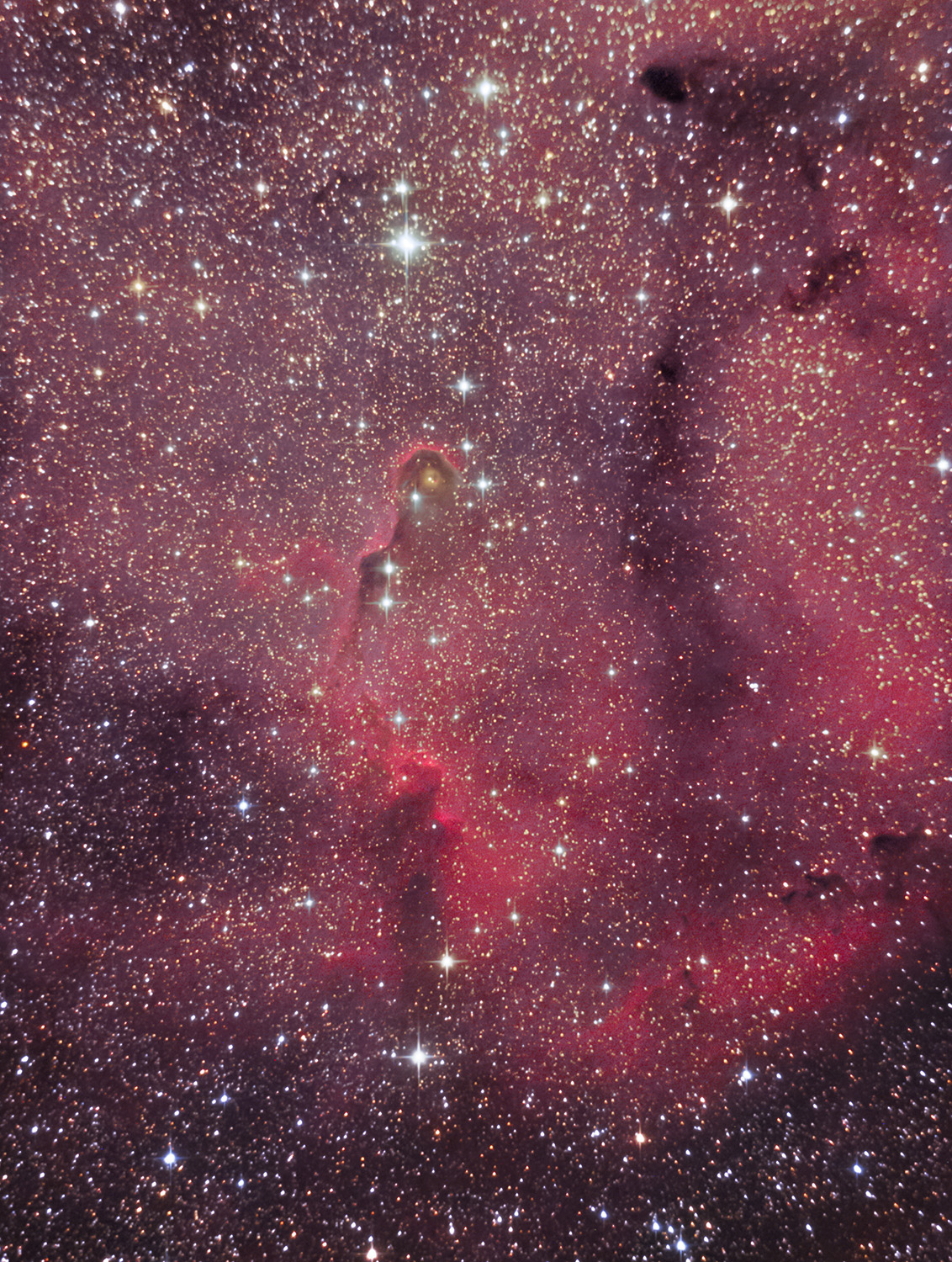 IC 1396A象鼻星云