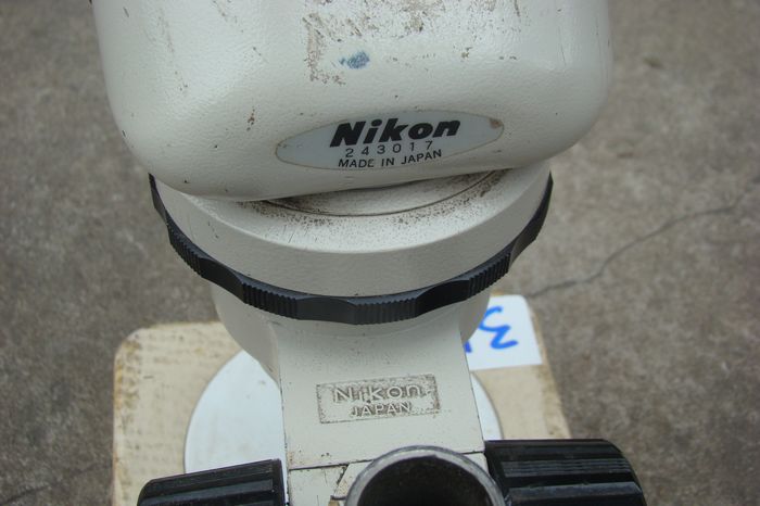 nEO_IMG_DSC00727.jpg