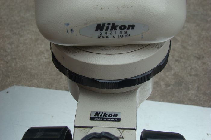 nEO_IMG_DSC00732.jpg