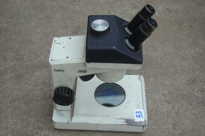 nEO_IMG_DSC00734.jpg