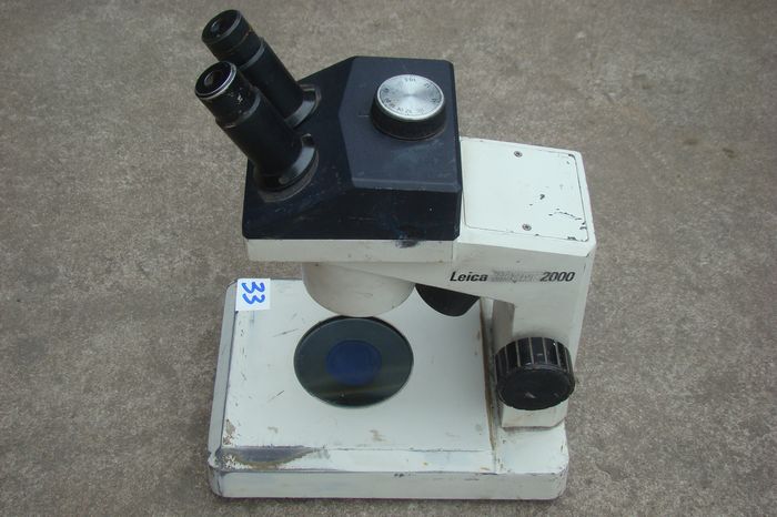 nEO_IMG_DSC00735.jpg