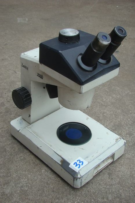 nEO_IMG_DSC00736.jpg