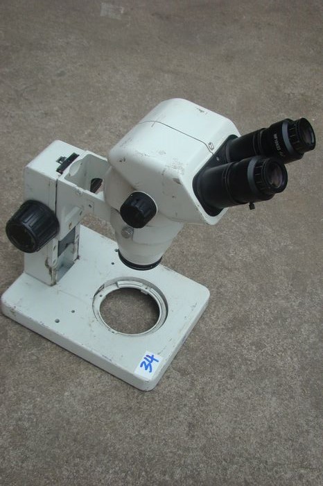 nEO_IMG_DSC00738.jpg