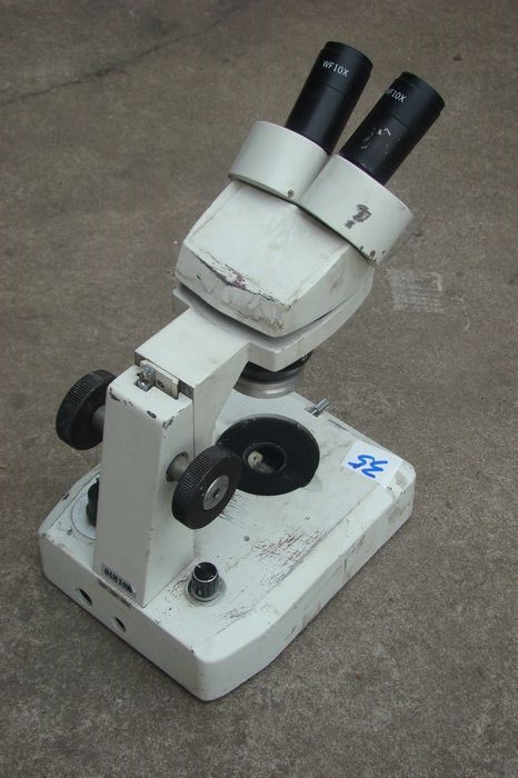 nEO_IMG_DSC00745.jpg