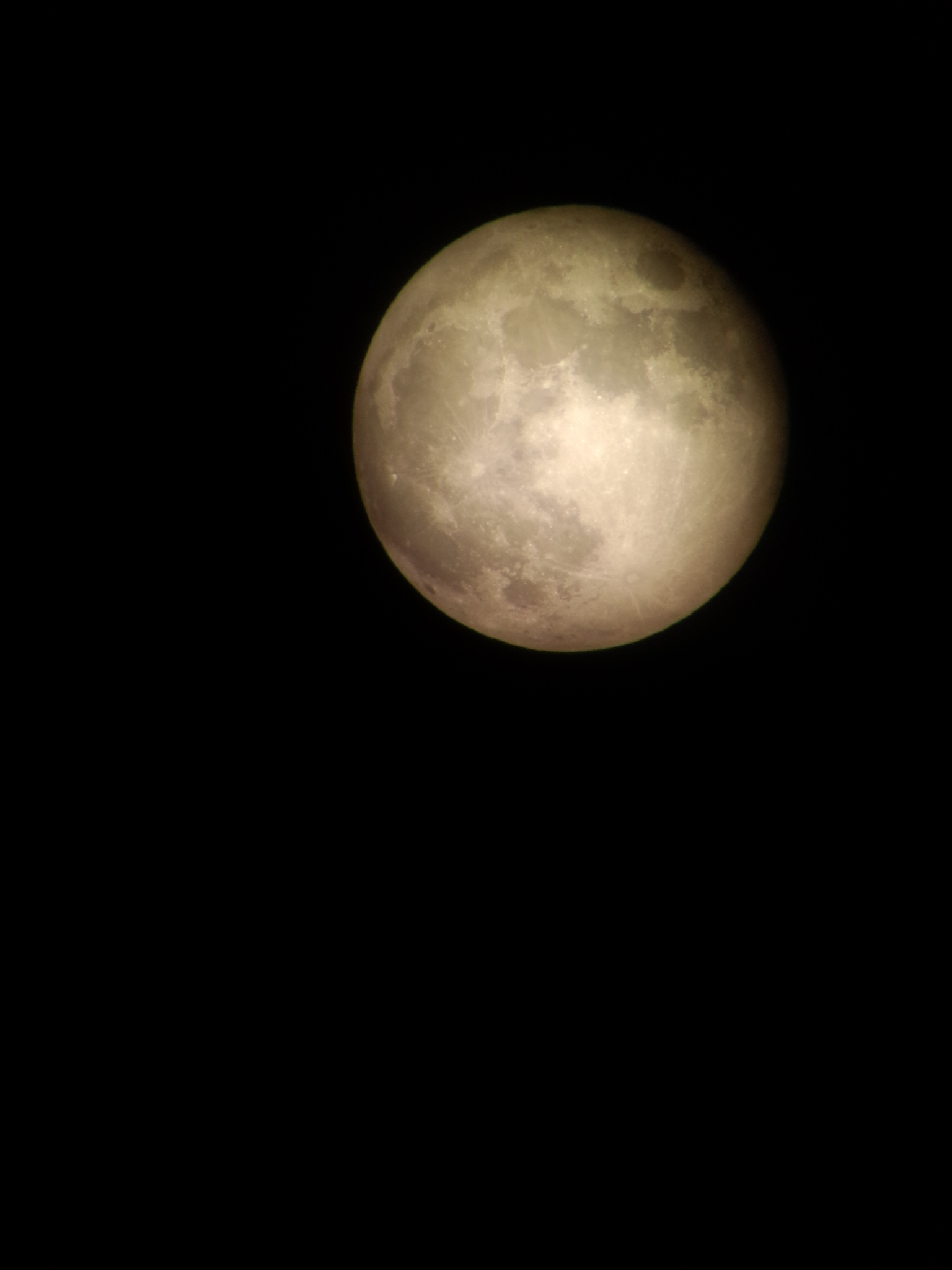 P41008-210259.jpg