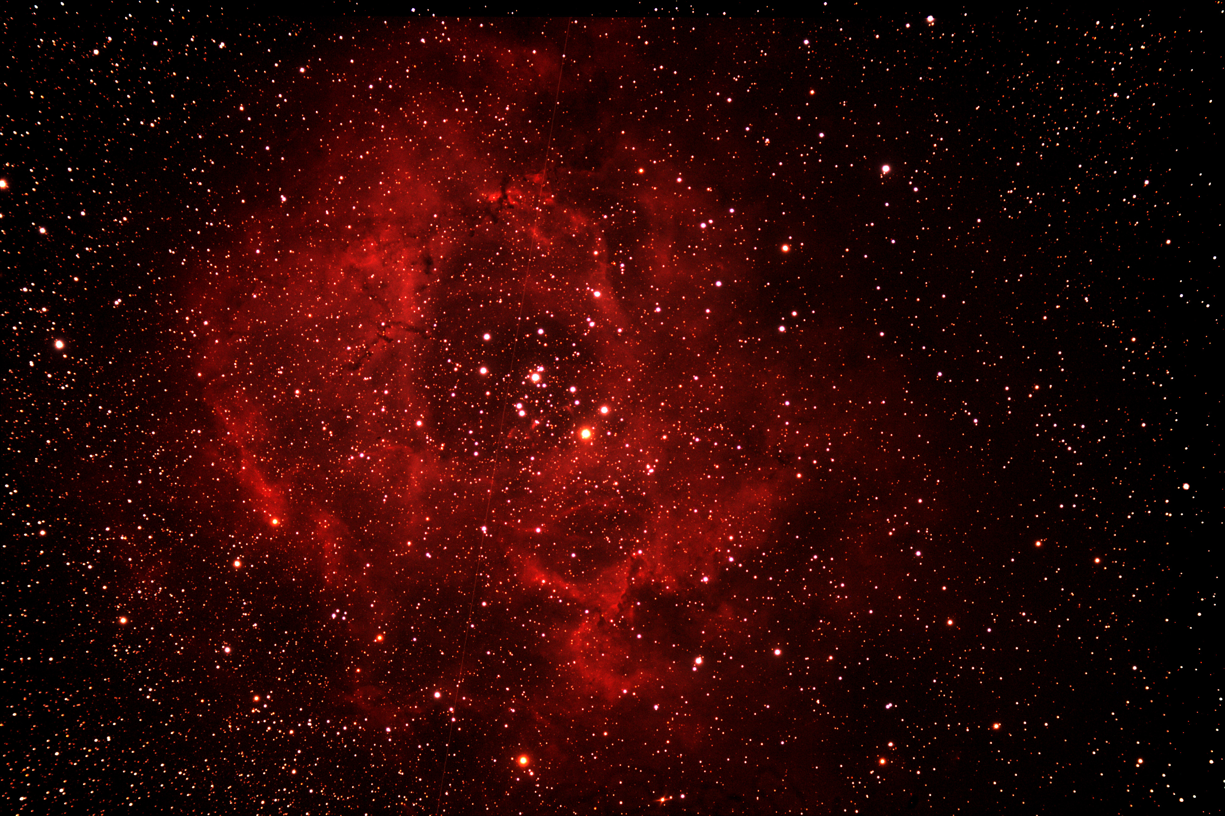 玫瑰星云 NGC2237 - 无拖线 牧夫.jpg