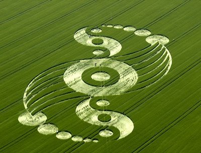 Crop Circle Season 2009 Windmill Hill, nr Avebury Trusloe, Wiltshire. reported 2.jpg