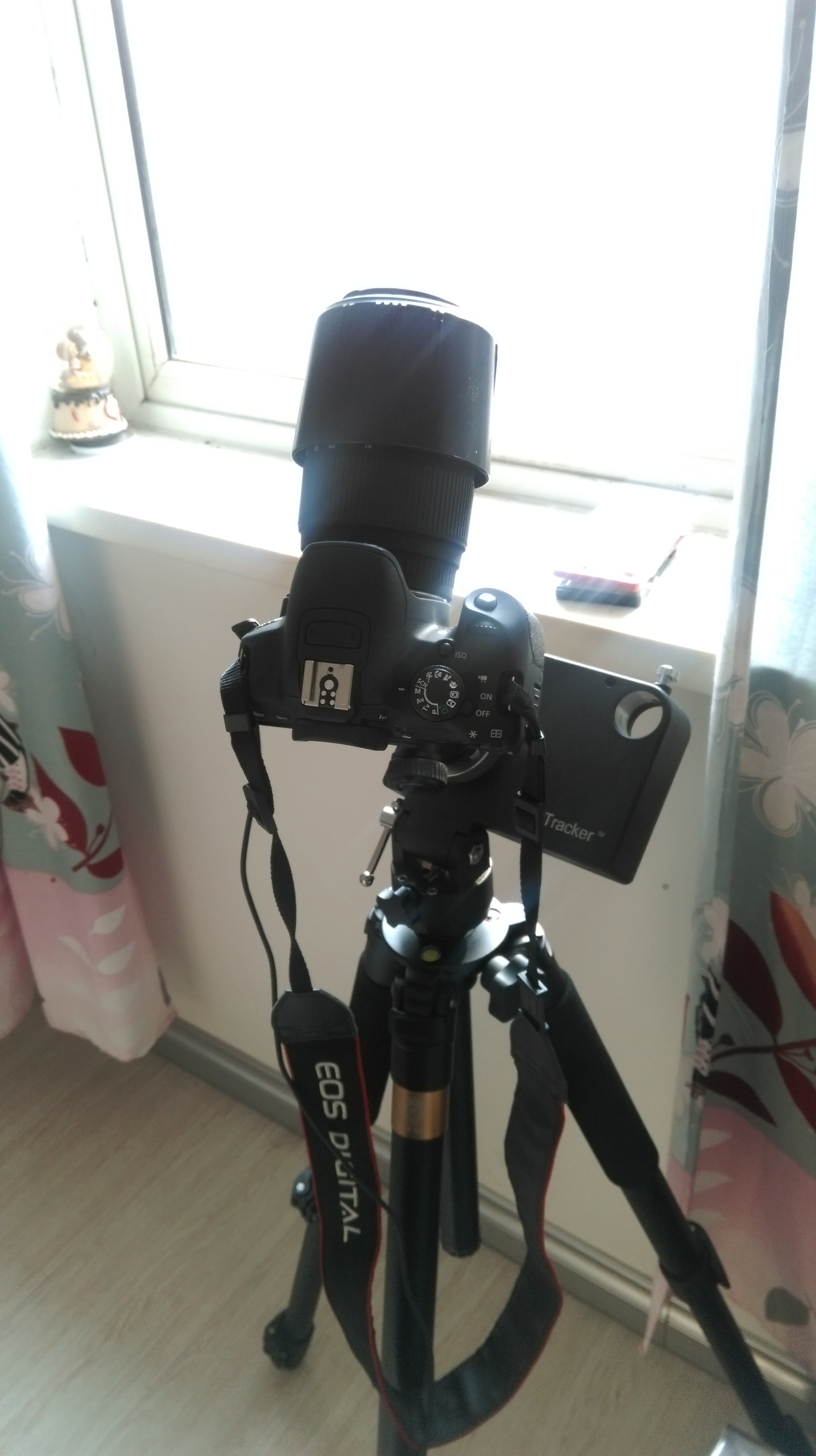 IMAG0314.jpg